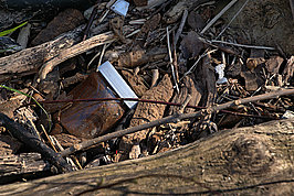 Bernhard Saalfeld - DSC01531 -1